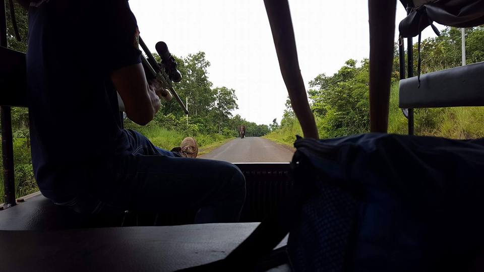 Vet darting Bak Mai - Elephant Valley Project Mondulkiri Vet darting Bak Mai - Elephant Valley Project Mondulkiri