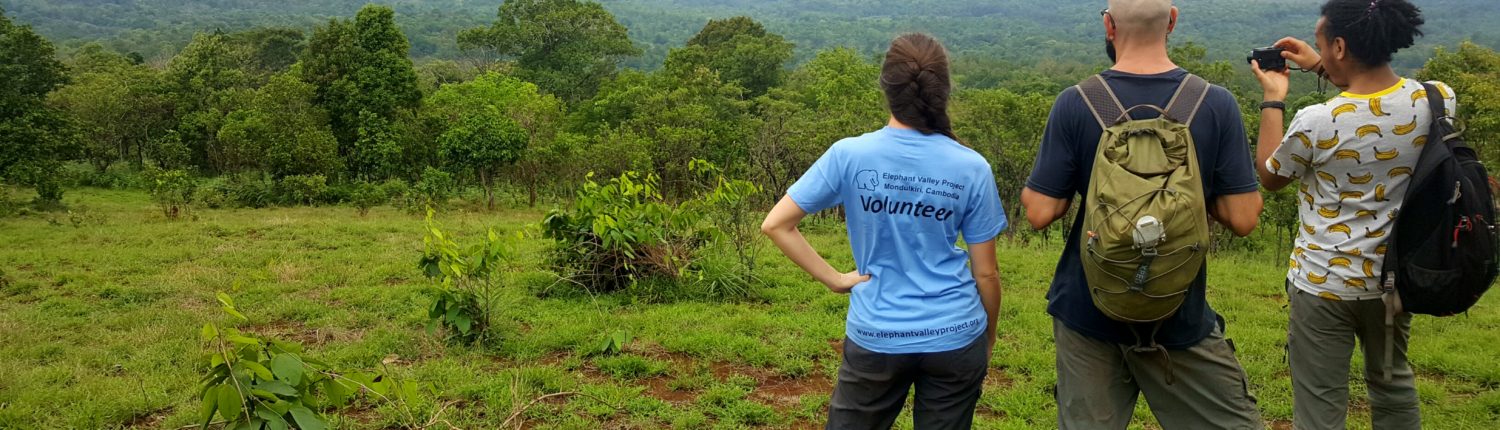 Volunteers Elephant Valley Project Mondulkiri Cambodia